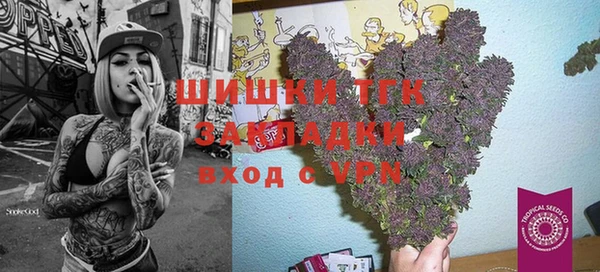 дурь Гусев