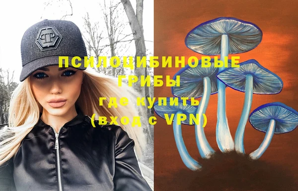 мескалин Гусиноозёрск
