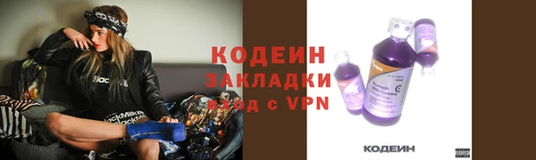 дживик Гусь-Хрустальный