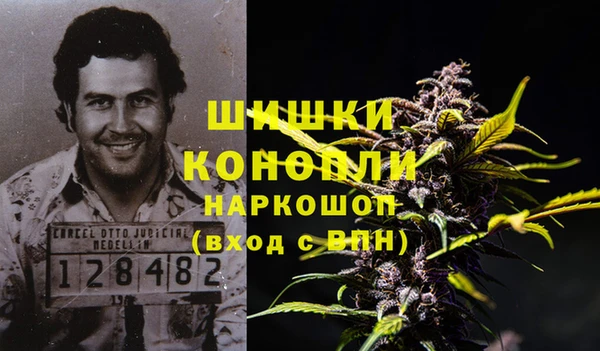 дурь Гусев