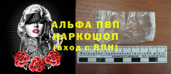 дживик Гусь-Хрустальный
