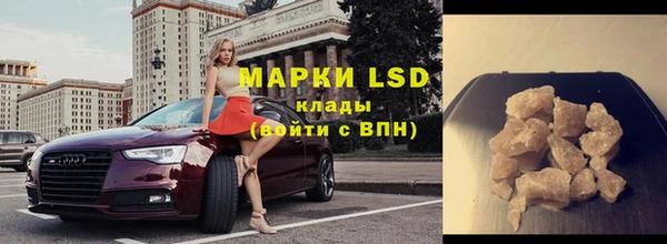 дурь Гусев