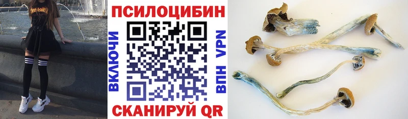 Галлюциногенные грибы прущие грибы  Десногорск 