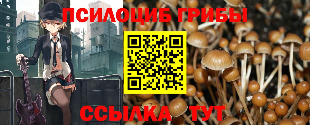 Галлюциногенные грибы Cubensis Десногорск